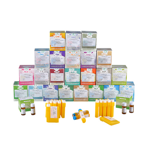 �����Լ� / �ʿ� / ��׼Ʒ